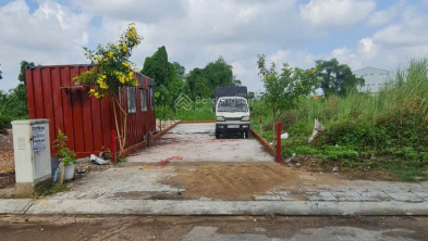 Ảnh đại diện