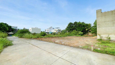 Ảnh đại diện