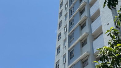 Ảnh đại diện