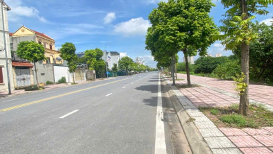 Ảnh đại diện
