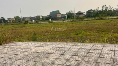 Ảnh đại diện