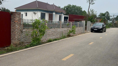 Ảnh đại diện