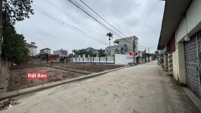 Ảnh đại diện