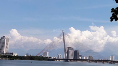 Ảnh đại diện