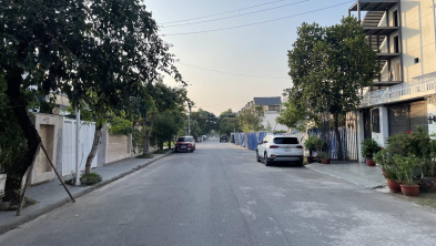 Ảnh đại diện