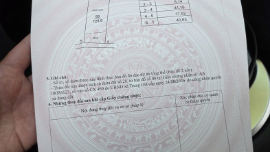 Ảnh đại diện