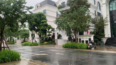 Ảnh đại diện