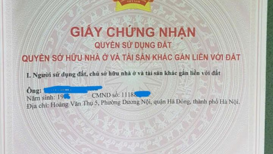 Ảnh đại diện