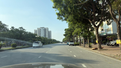 Ảnh đại diện