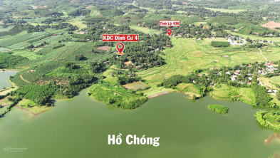 Ảnh đại diện