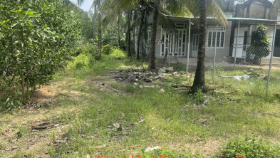 Ảnh đại diện