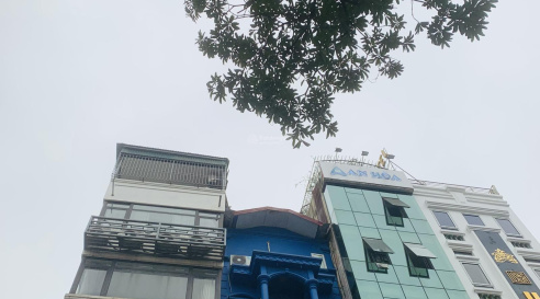 Bất động sản Phố Vọng