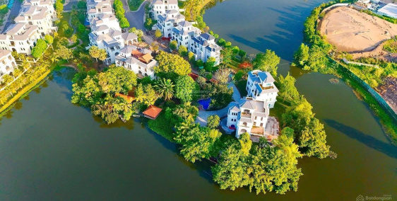 Ảnh đại diện