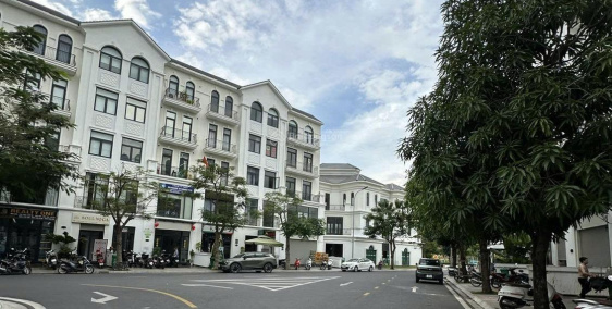 Ảnh đại diện