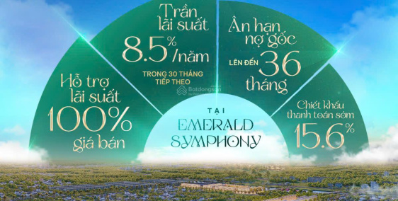 Ảnh đại diện