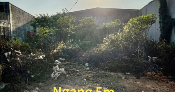 Tasodifiy tez jinsiy aloqa video Veb-kamera qizlar onlayn