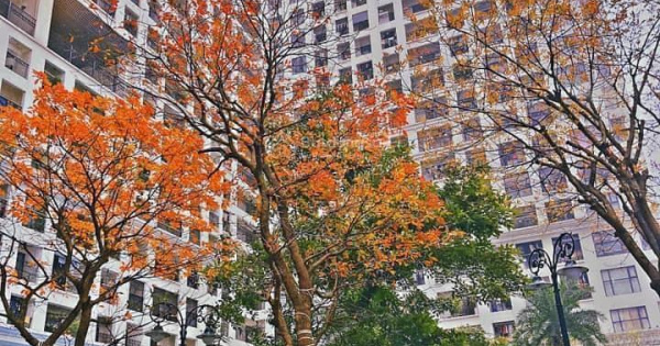 Bán 1 ngủ giá 3.8tỷ DT 50m2 phố Minh Khai Sunshine Garden (cạnh Time City) E. Minh Anh 0944 394 ***