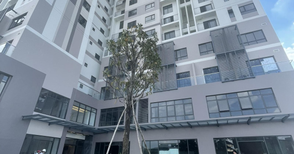 Bán Duplex 100m2 nhà đã có sổ hồng, giá chốt nhanh trong tuần, hỗ trợ vay ngân hàng - LH 0901 422 ***