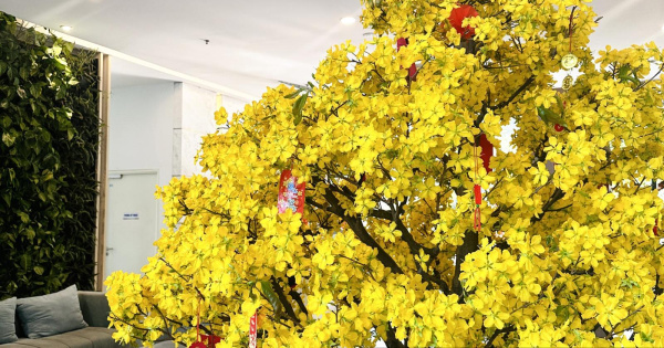 2025 tổng hợp tất cả sản phẩm bán căn hộ 1PN, 2PN, 3PN Kingdom 101 Quận 10 Tô Hiến Thành