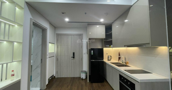 CC bán Masteri tòa D: 1PN + 46.5m2, 3.2 tỷ, full đồ đầu tư 250tr, sẵn sổ