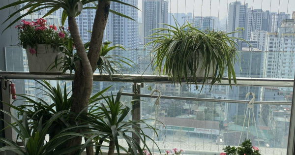 Bán căn hộ mặt đường Dương Đình Nghệ 98m2. 2 ngủ 2 vệ sinh nhà đẹp full nội thất đẹp