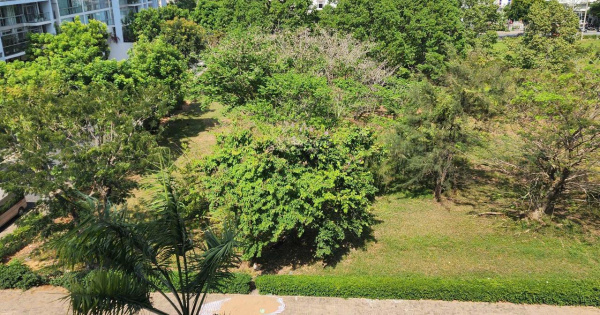 Bán căn hộ The Panorama, view thoáng mát giá 12,4tỷ, DT: 121m2, 3PN + 2WC, giá siêu hời!