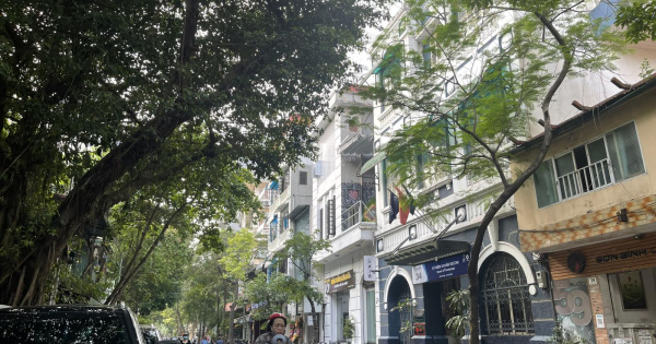 (Hiếm) Bán tòa căn hộ dịch vụ cao cấp phố Hàng Chuối, 2 tỷ/năm, nội thất xịn, 75m2 x 7 tầng, 40 tỷ