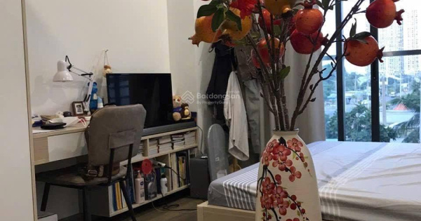 Giỏ hàng độc quyền bán căn hộ OT sổ hồng lâu dài The Pegasuite 2