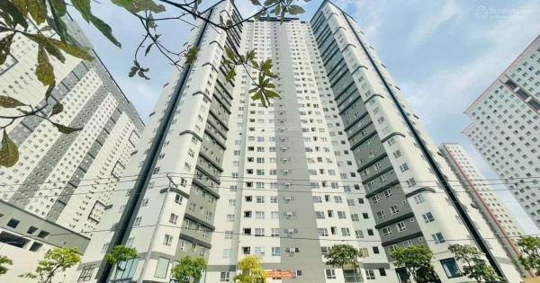 Full Nt 79m2 tòa thường 3,75 tỷ hoặc tòa Cao Cấp D1 xem nhà chi tiết alo Cường0964 267 *** hỗ trợ vay