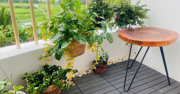 Cho thuê căn hộ 1 phòng ngủ, chung cư Conic Garden, có nội thất, giá 5 triệu/ tháng. LH 0908 155 ***