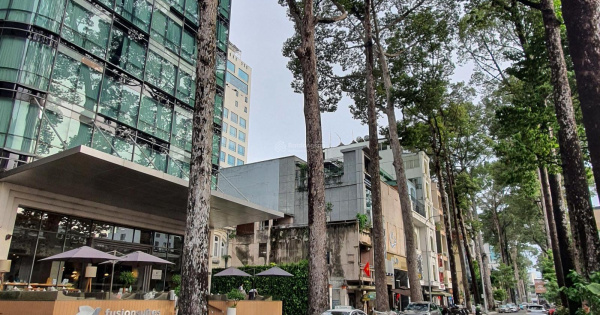 HÀNG HIẾM! BÁN NHÀ 2 TẦNG SƯƠNG NGUYỆT ÁNH, P. BẾN THÀNH, GIÁ CHỈ 8 TỶ