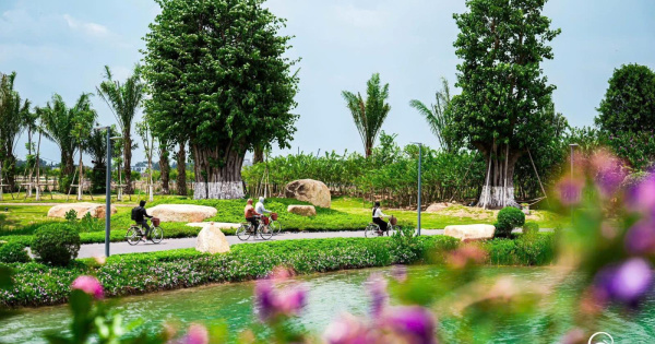 RETREAT FOREST - BIỆT THỰ RỪNG ĐẦU TIÊN TẠI VIỆT NAM , QUÀ TẶNG