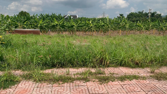 Cổng chào dự án Thành Đô River Park