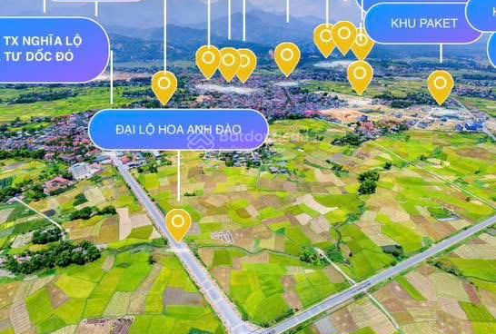 Golden Field Nghĩa Lộ