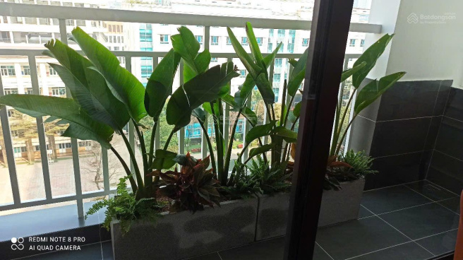 Chung cư Bộ Tổng Tham Mưu