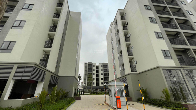 Chung cư Rosa Garden