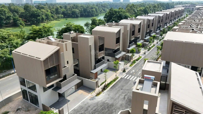 The Orchard Sycamore