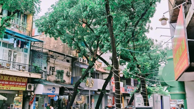 Văn phòng Vinaconex No.2