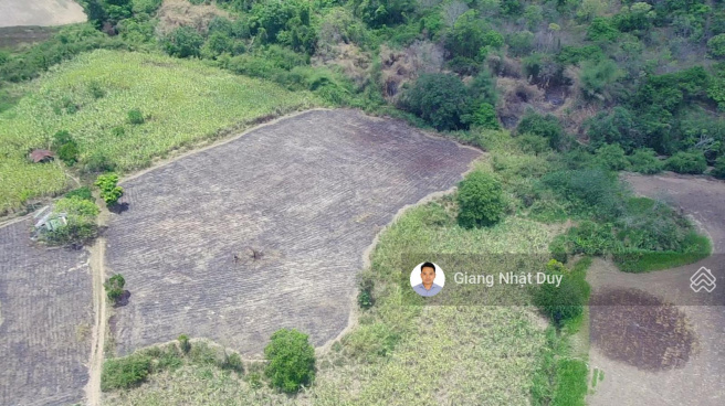 Cunnilingus blowjob Lyubertsy Sperma bilan tola porno