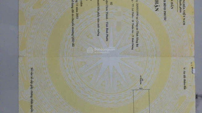 Nha Bích New Center