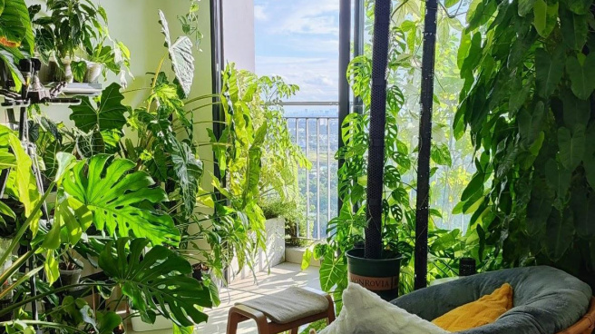 The Rainbow - Vinhomes Grand Park