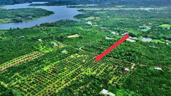 Bir dostimning qizi bilan porno Porno Sokolyuk