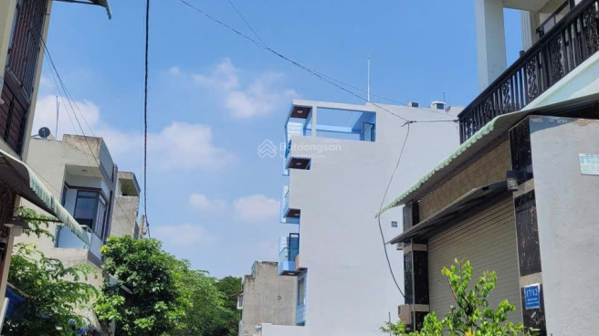 Việt Nhân SHTP Open