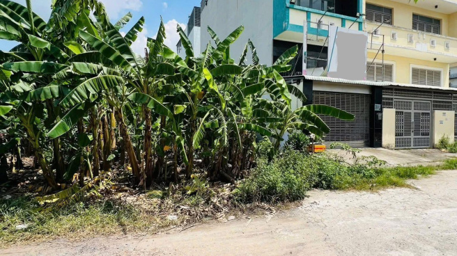 Ảnh minh họa khu vực lân cận dự án