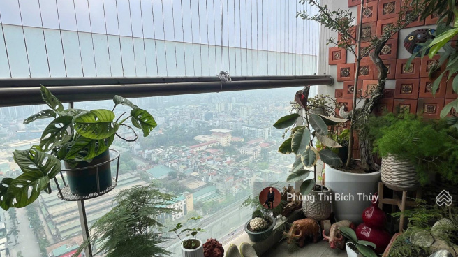 Trung tâm thương mại TSQ