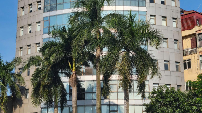 Viglacera - Exim Building