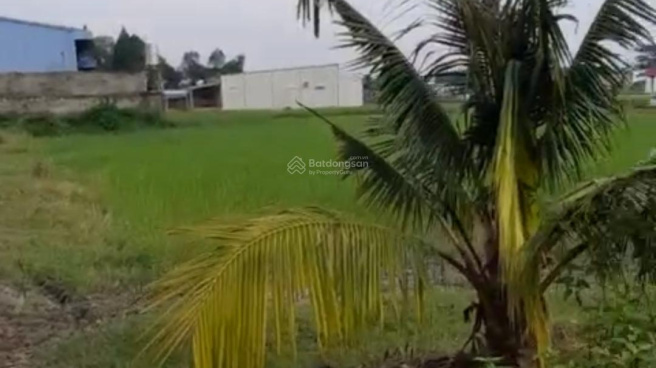 Cát Tường Phú An