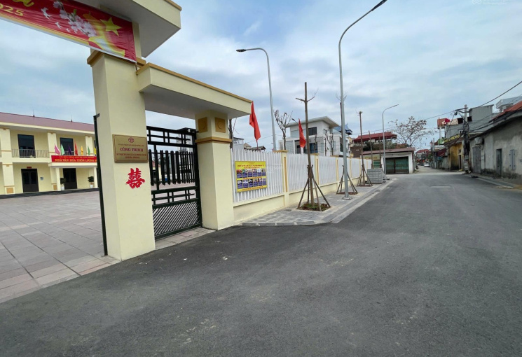 Ảnh 7