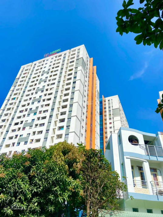 Cho thuê căn hộ tại CC Sen Hồng Lotus Apartment