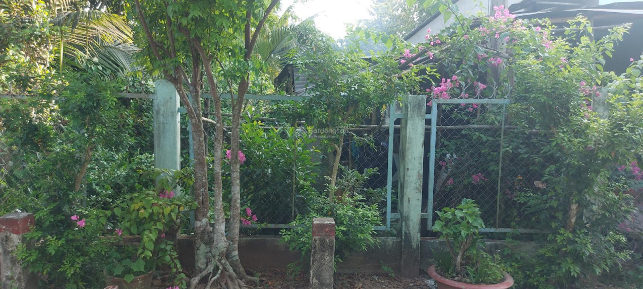 Nền Rạch Ông Dựa, Long Tuyền, Bình Thủy